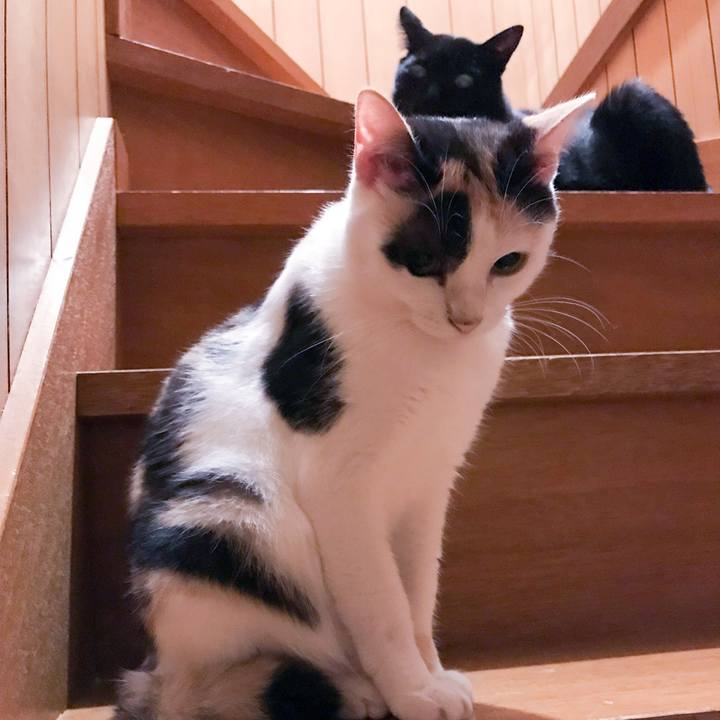 Cad73c1e d121 4bea 9ca3 54ad3d965401