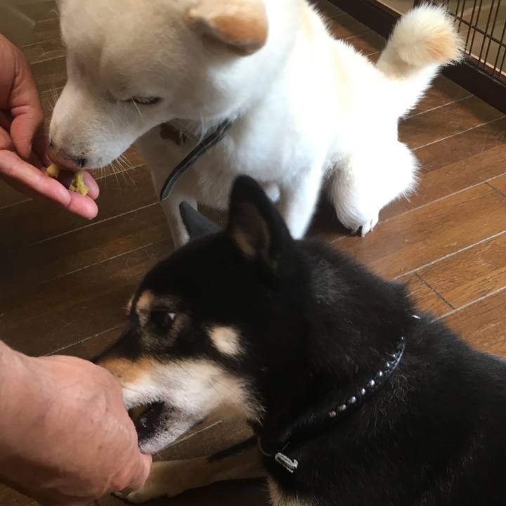 Cad76903 d70f 4bee 864e b4e1b3317872