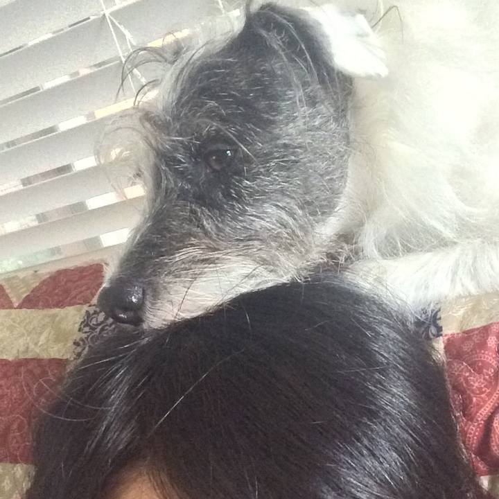 Cad7b59c 492e 4547 b134 93671218cecd