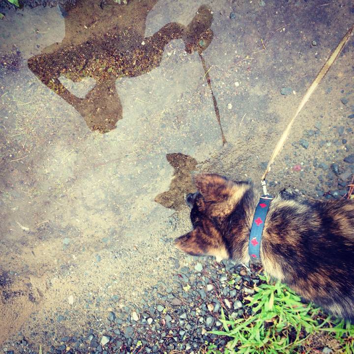 Cad7bc50 ab3d 442b ad1d c947ac912ea2