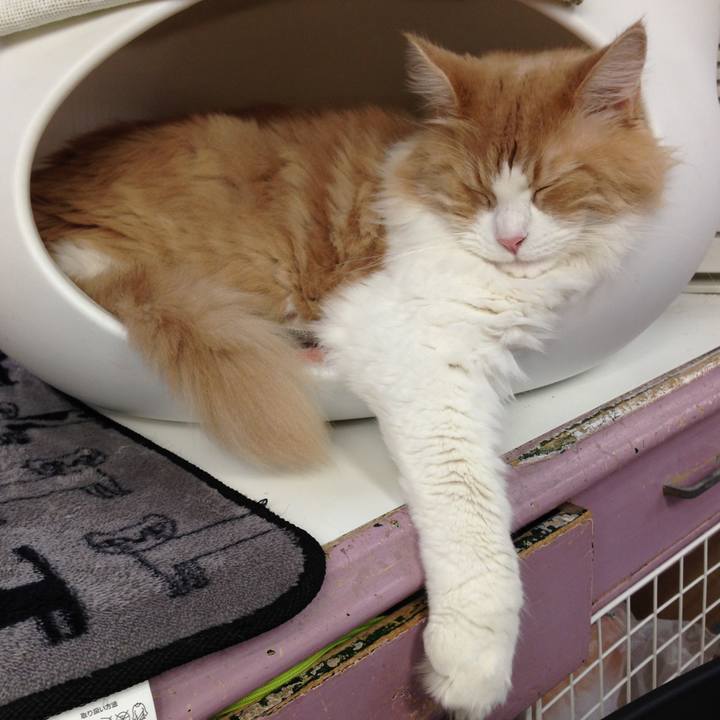 Cad7f63d 747d 457c 9407 823cfdbbb4ea