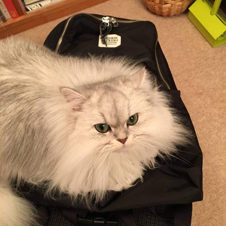 Cad81b88 acc3 4381 898a f2a9058d0d9b