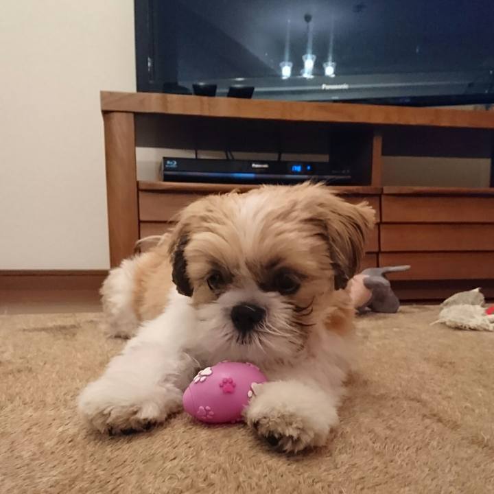 Cad8663f 8858 4b67 a903 f816c3506eca