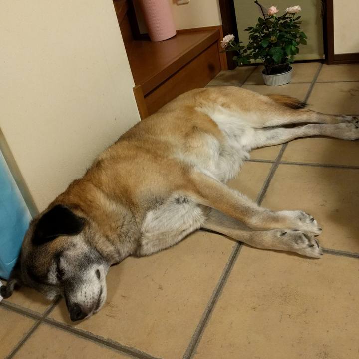 Cad88c73 7578 4380 a3aa 947ee90592d0