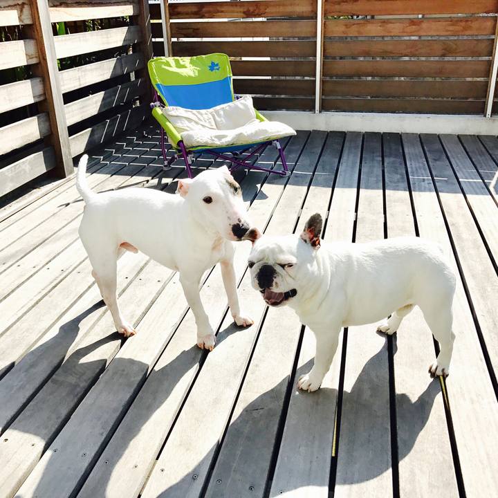 Cad93fc1 416c 45ab 81c8 9d5fa96ec22f