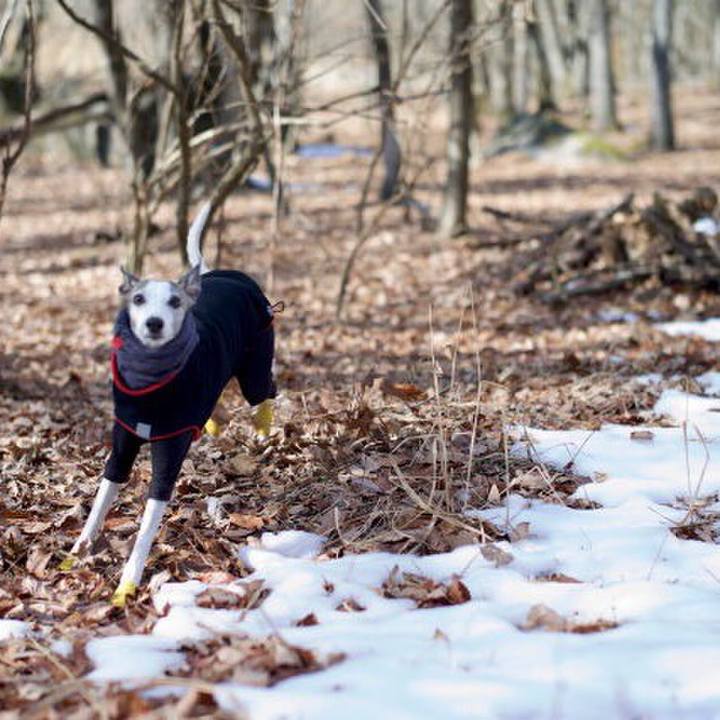 Cad94c61 b88b 4a98 8d90 ba4434434412