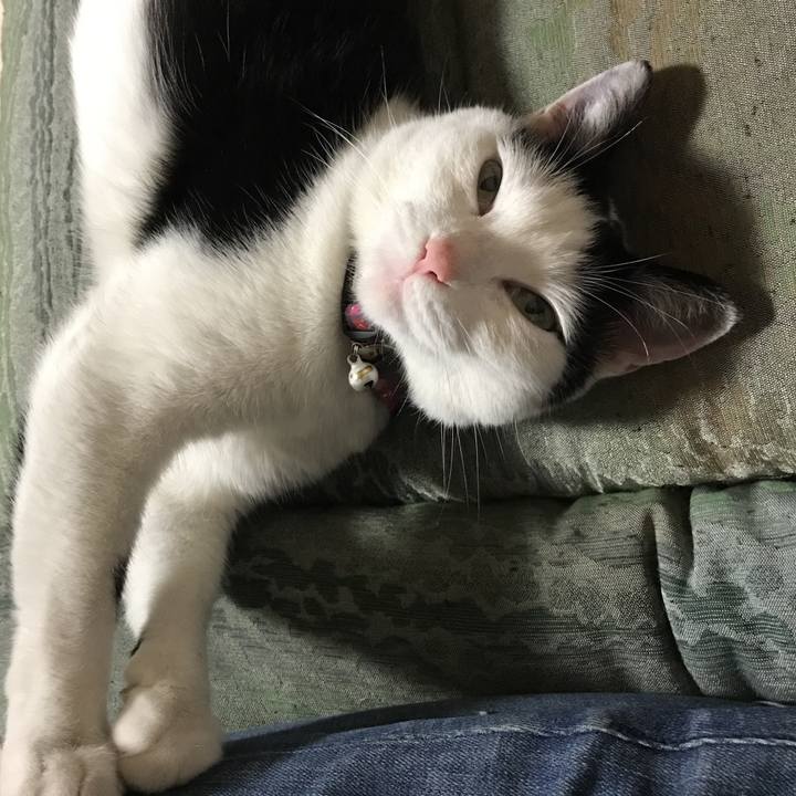 Cad961b6 4cbc 4fb1 81dd 049be65bcf9e