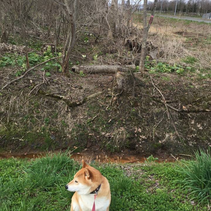 Cad9b0ab 116d 4764 aed4 1e395ec8e42f