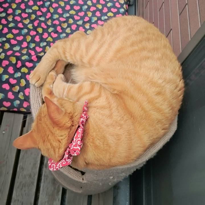 Cada7cb9 1468 41d9 a3fe b3dc12c84899