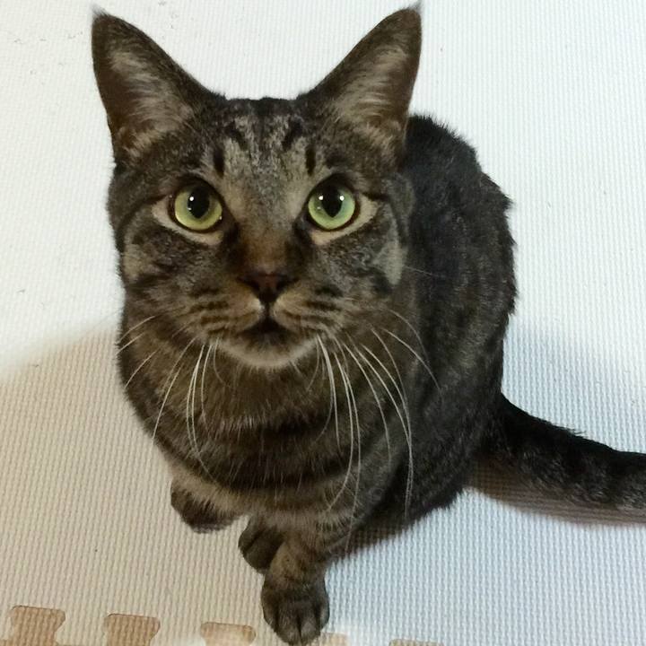 Cadaf3e8 2a9e 4aca 8f04 975ceb5cbb2d