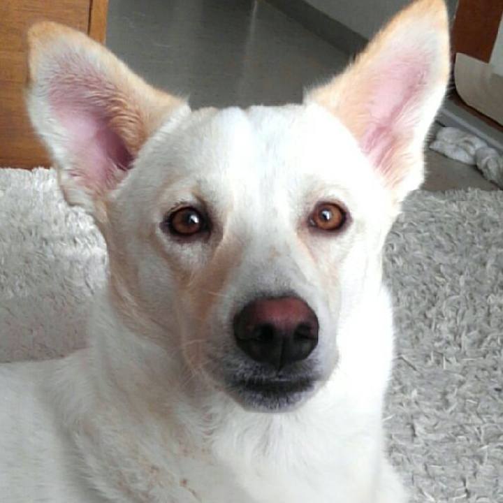 Cadb1a89 2666 4c87 852b 84c16165140d