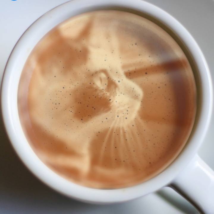 Cadbb9b5 8b83 46d7 90d2 2c23ca3ab78f