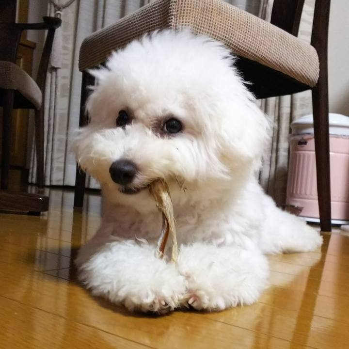 Cadbf4c7 e992 4695 a2d3 64c494123d8c