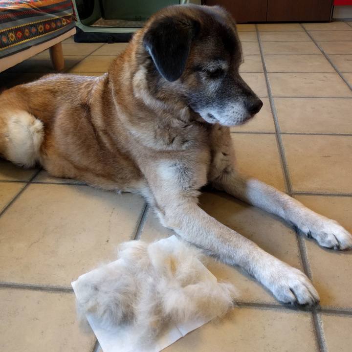 Cadc007a cf9b 4386 80ac dce4f29b8e07