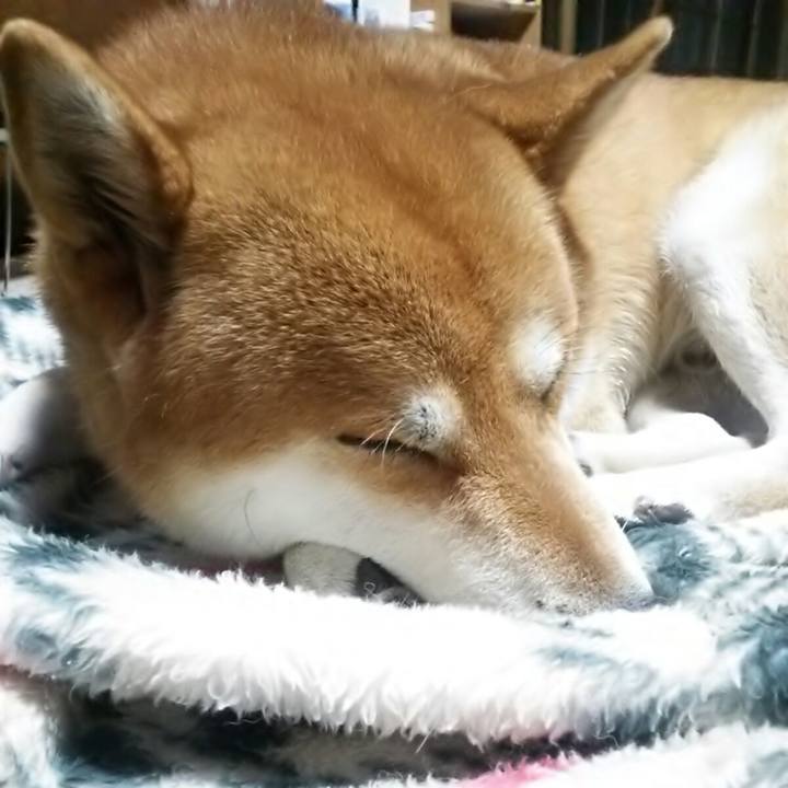 Cadc6edb d692 4d6c a585 ae5131b8e5b1