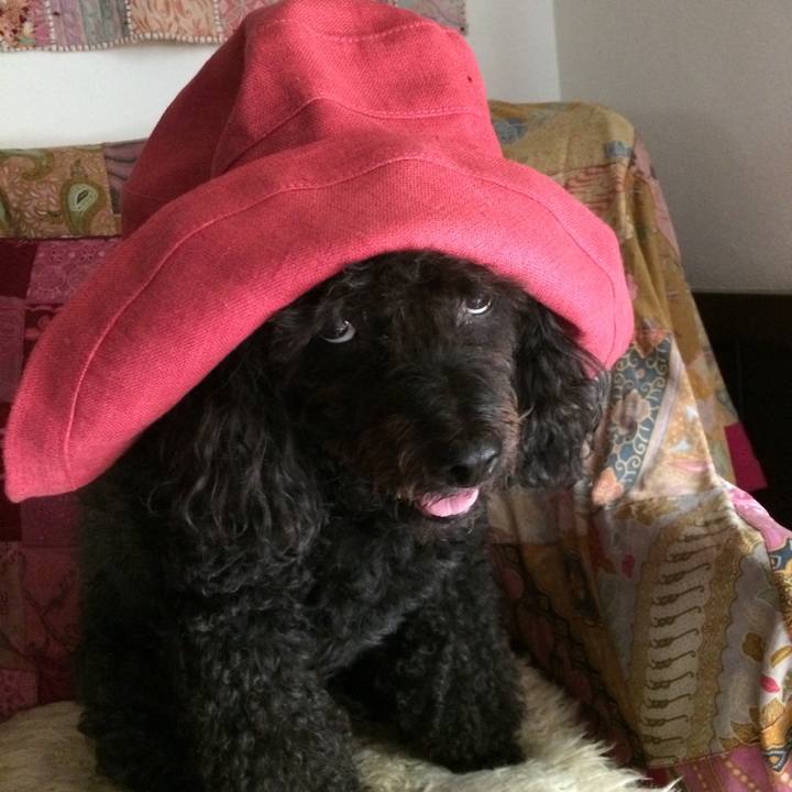 Cadc9fa1 eade 4d75 9f98 d017cace3acf