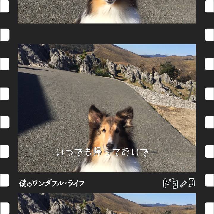 Cadd1ae2 4d36 4adb 83df 6d418a626bad