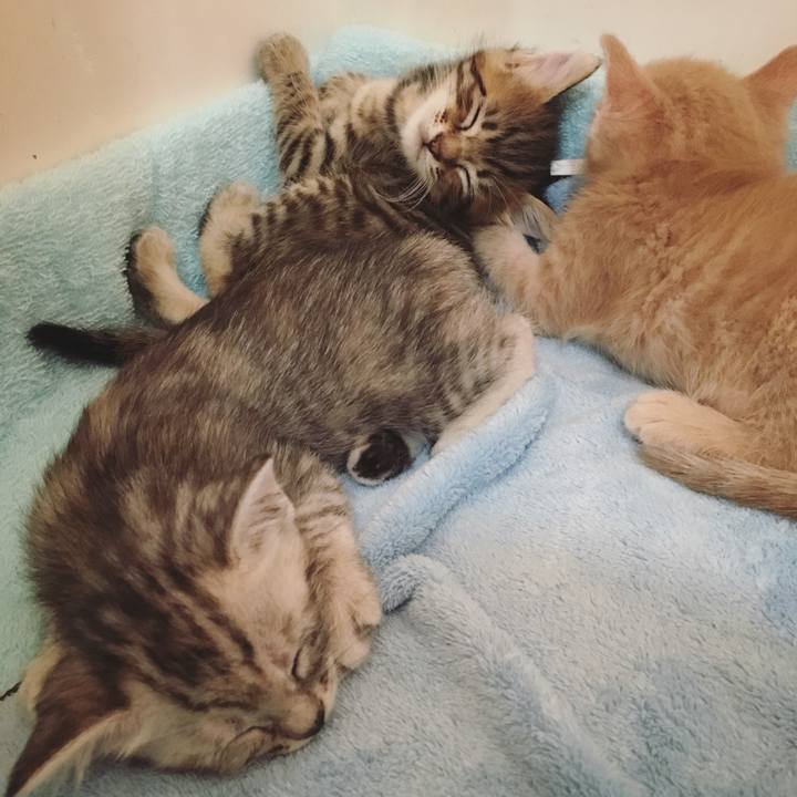 Cadd9030 3c66 4203 b050 cfcdd46bac92