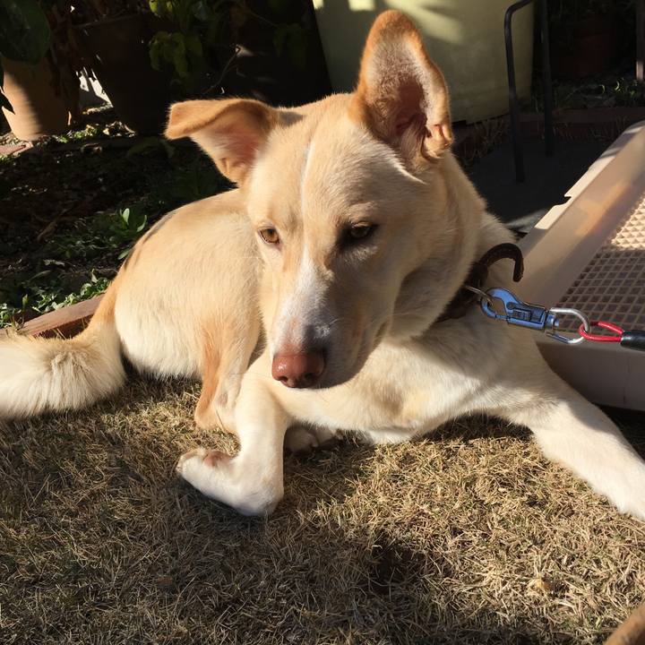 Caddb2fc 5afd 4311 9d0b e8dbf9b1db8b