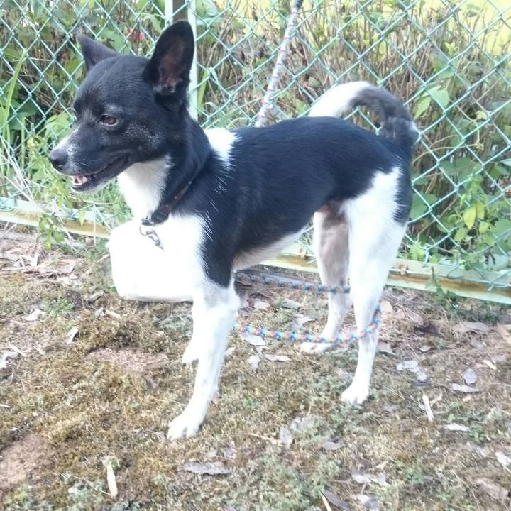 Cade5d52 575b 490f 884e 0ba4b1ab6ef5