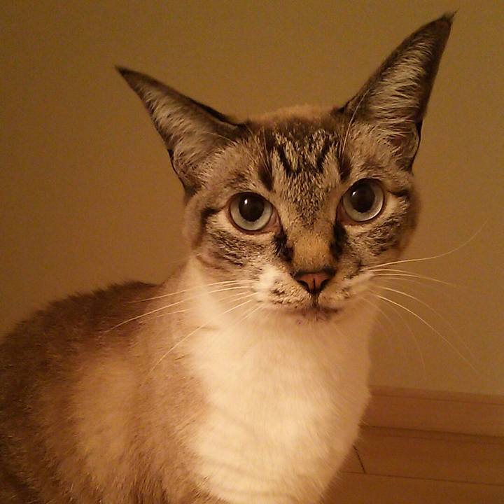 Caded6bf 0968 43ca b1f2 c0c0a7f17ed4