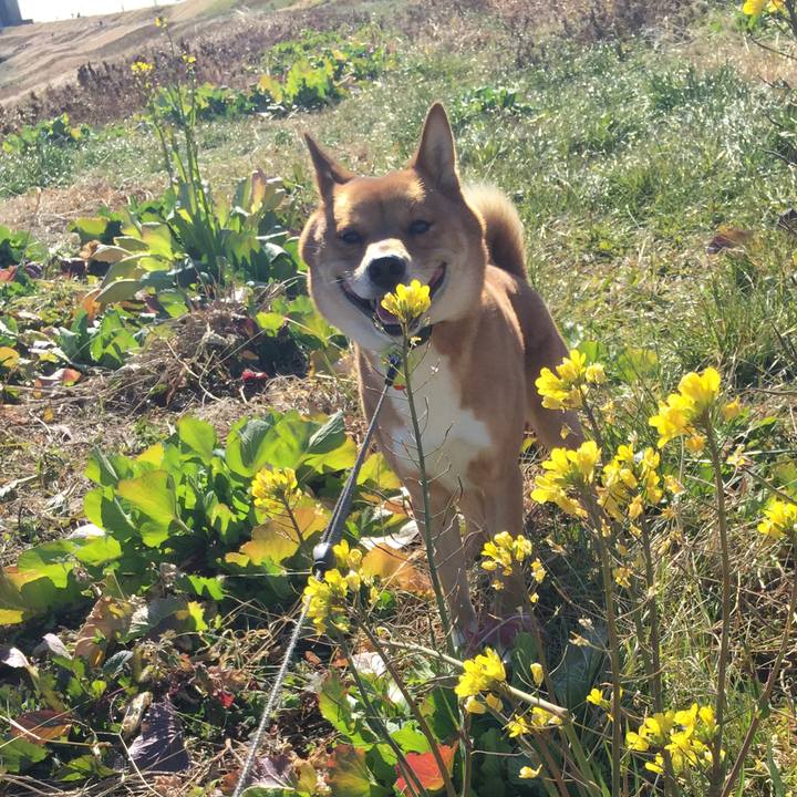 Cadf1451 512b 4c92 9c0f 38aa2d327437