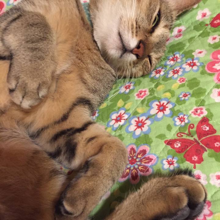 Cadf5762 560c 48a2 984f 10f28840a53e