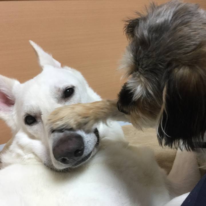 Cadf9e78 bdd3 40c0 8614 cf03f1028051