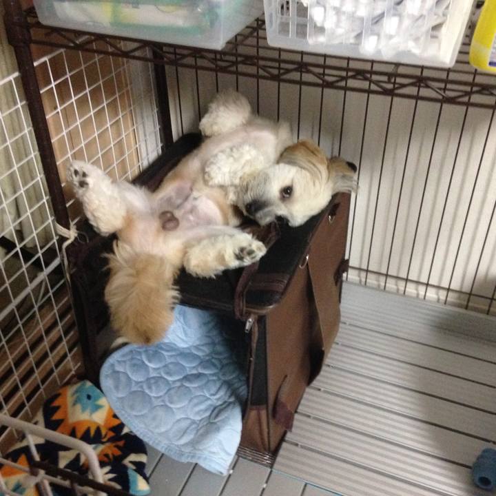 Cae02f74 dd98 4d9f b26d 178a8c4dcb4d