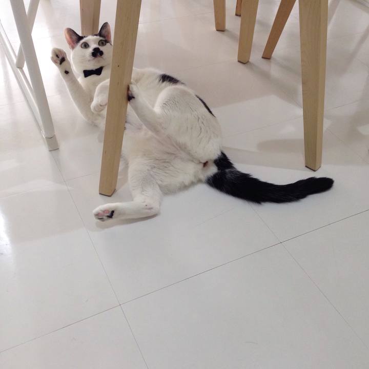 Cae031ea 898a 434f 84ed ecac37986f91