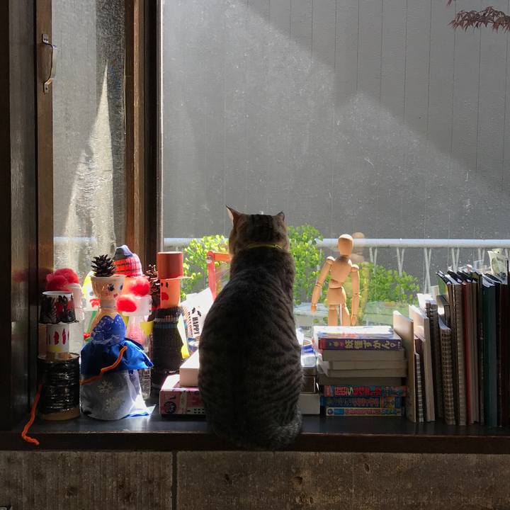 Cae071a3 b28d 4e49 9974 0554a062b55b