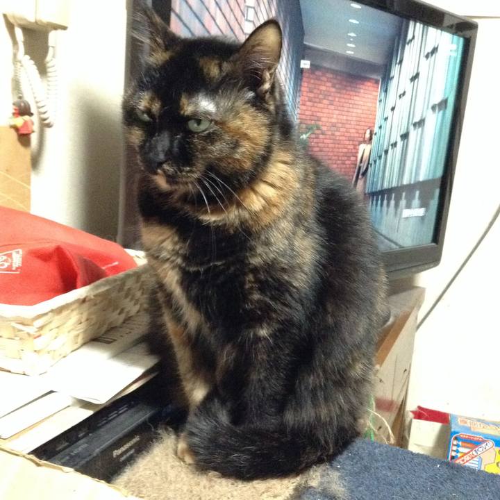 Cae08220 3f52 4122 8798 10027d4efe08