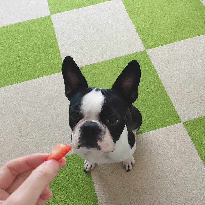 Cae08c5e b75e 4d0c bfb9 da44e517360b