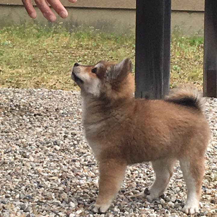 Cae0b777 0bb6 43d0 a907 2a1bebf41f6f