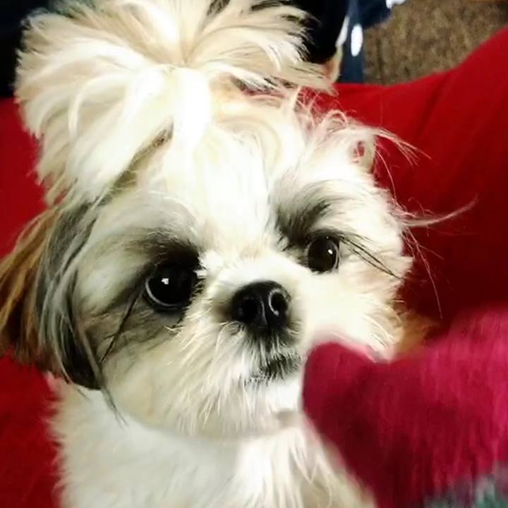 Cae14d13 76ee 484b 9415 121bfdee68af