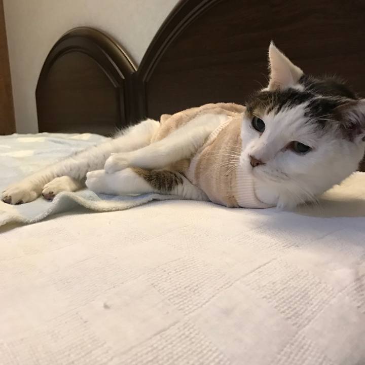 Cae1d513 e2e1 411f 87c3 a48593322d60