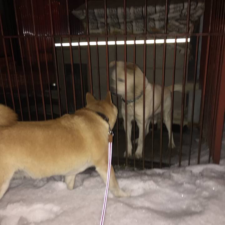 Cae25dec 4627 4794 8734 6e6b415ee38f