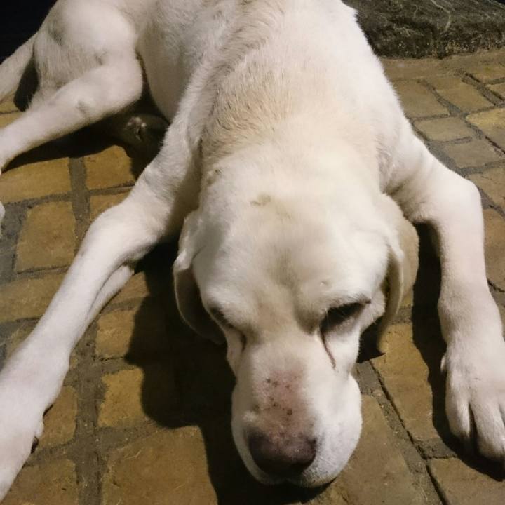 Cae2ac53 ccf1 4e90 9514 1eaad2fef3d0