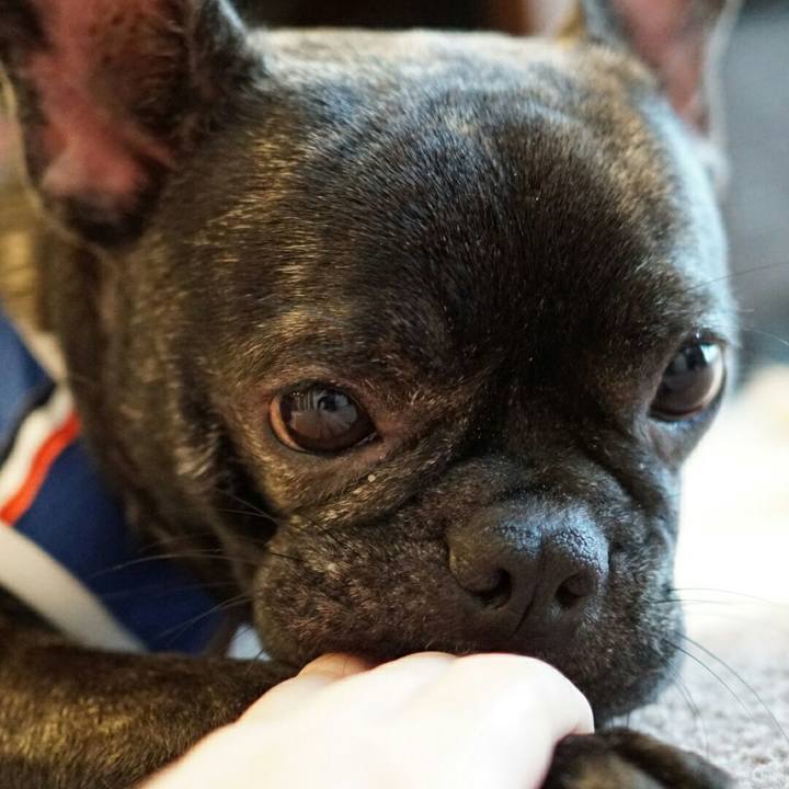 Cae2dbbb d670 4401 ab14 8ceb51fbad82