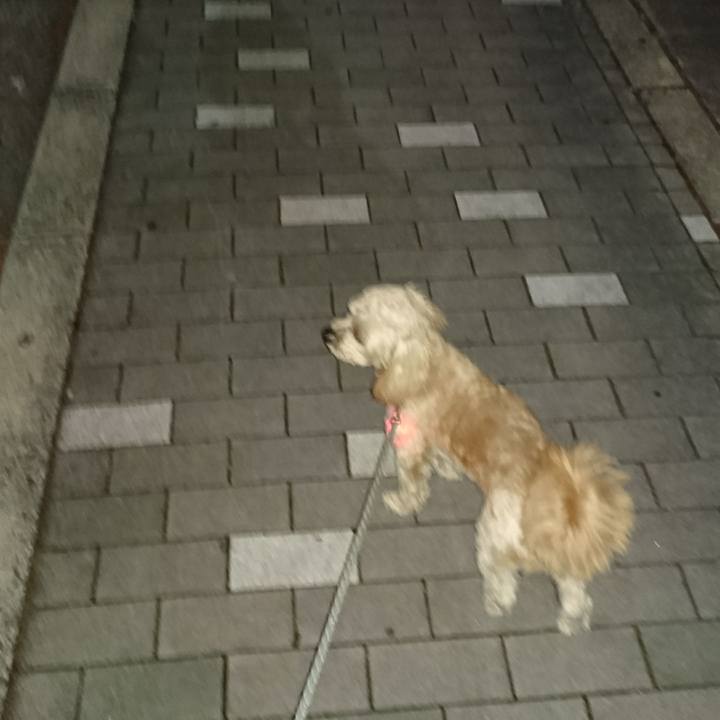 Cae32c35 30fa 403a 99f6 1b8c566096ca