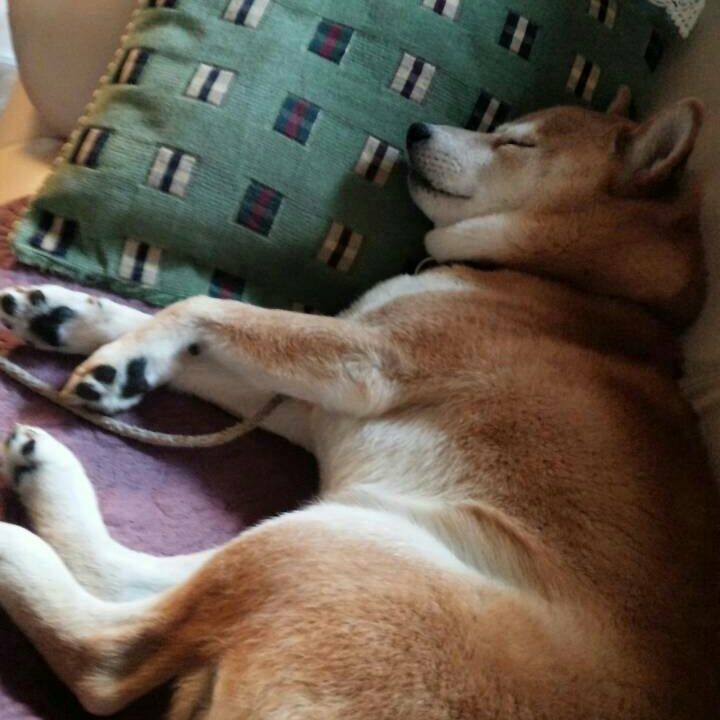 Cae37f95 349a 4e7e bfc5 8322b82b285c