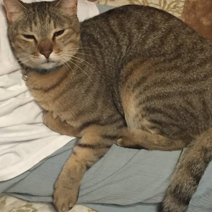 Cae3bb0a 7b66 45b3 a9fc 23d137e394d5