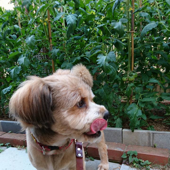 Cae3efab 9a53 4339 9b2e 3f7b2a5e0ac5