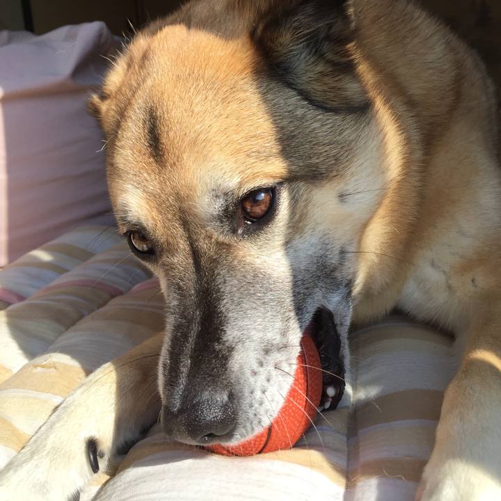 Cae45413 dbcf 4776 9efc c8b1bea54006