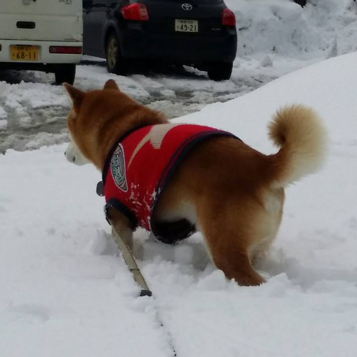 Cae53f89 3208 4648 a381 ed9c41d9c981