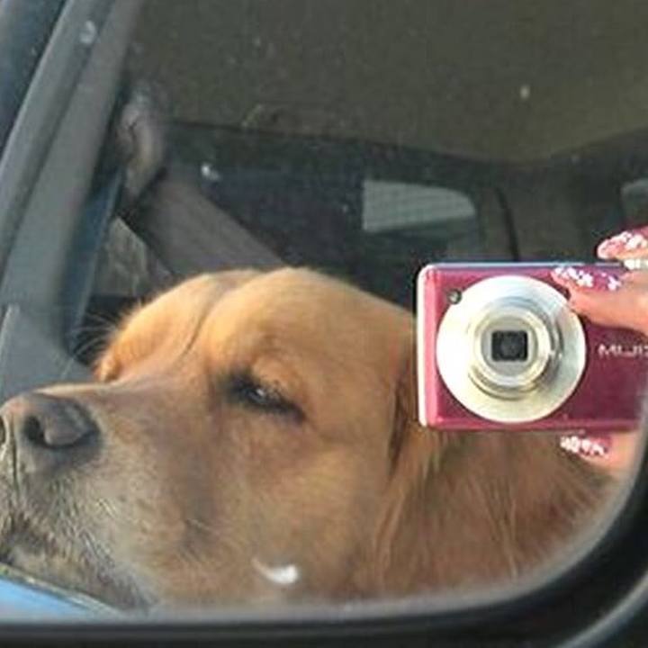 Cae598e9 29e9 4ec2 93fb 3982beb1a7fd