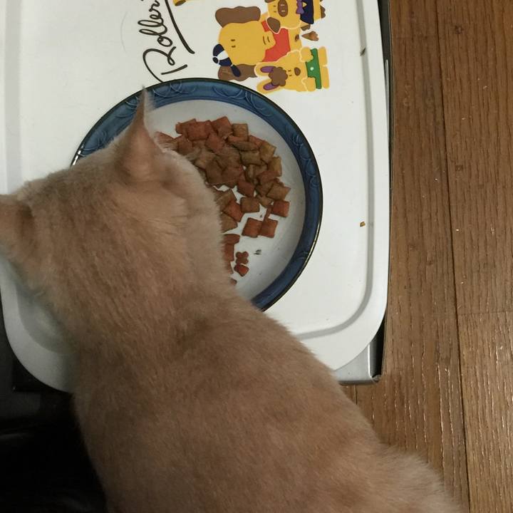 Cae617d2 6fc9 4b66 92d8 fbe74c16424b