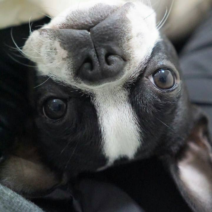 Cae63da3 b1f9 420f 8ebb 7b1d10069147