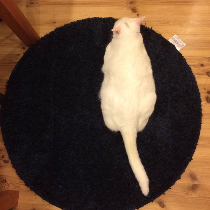 Cae63e66 d7cb 4d72 89fa 6aa7fca5fbc5