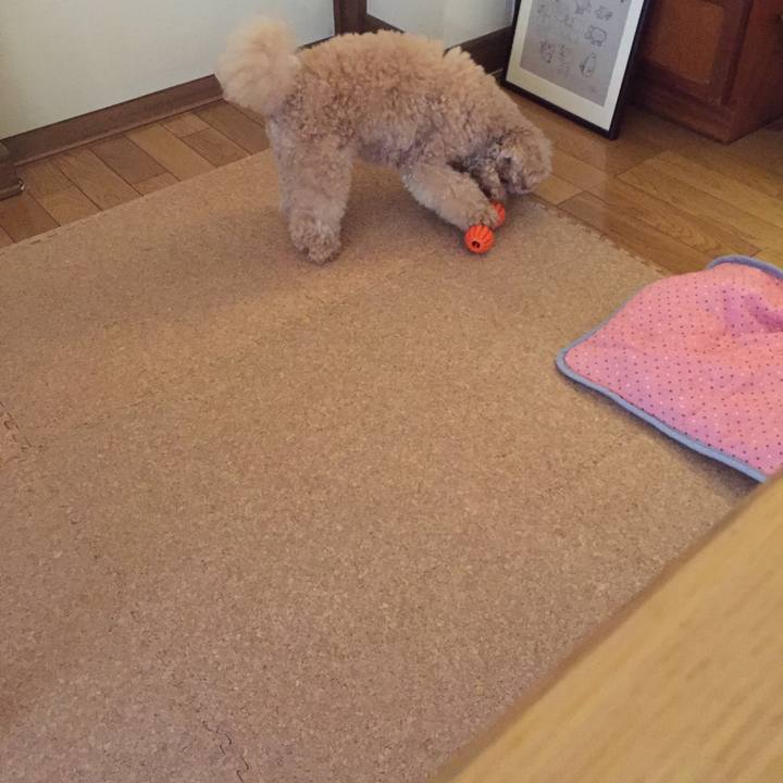 Cae6718a fbac 442c a16a 4761112a76ac